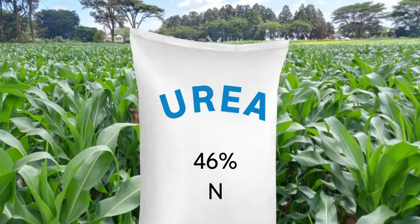 Urea 46 percent